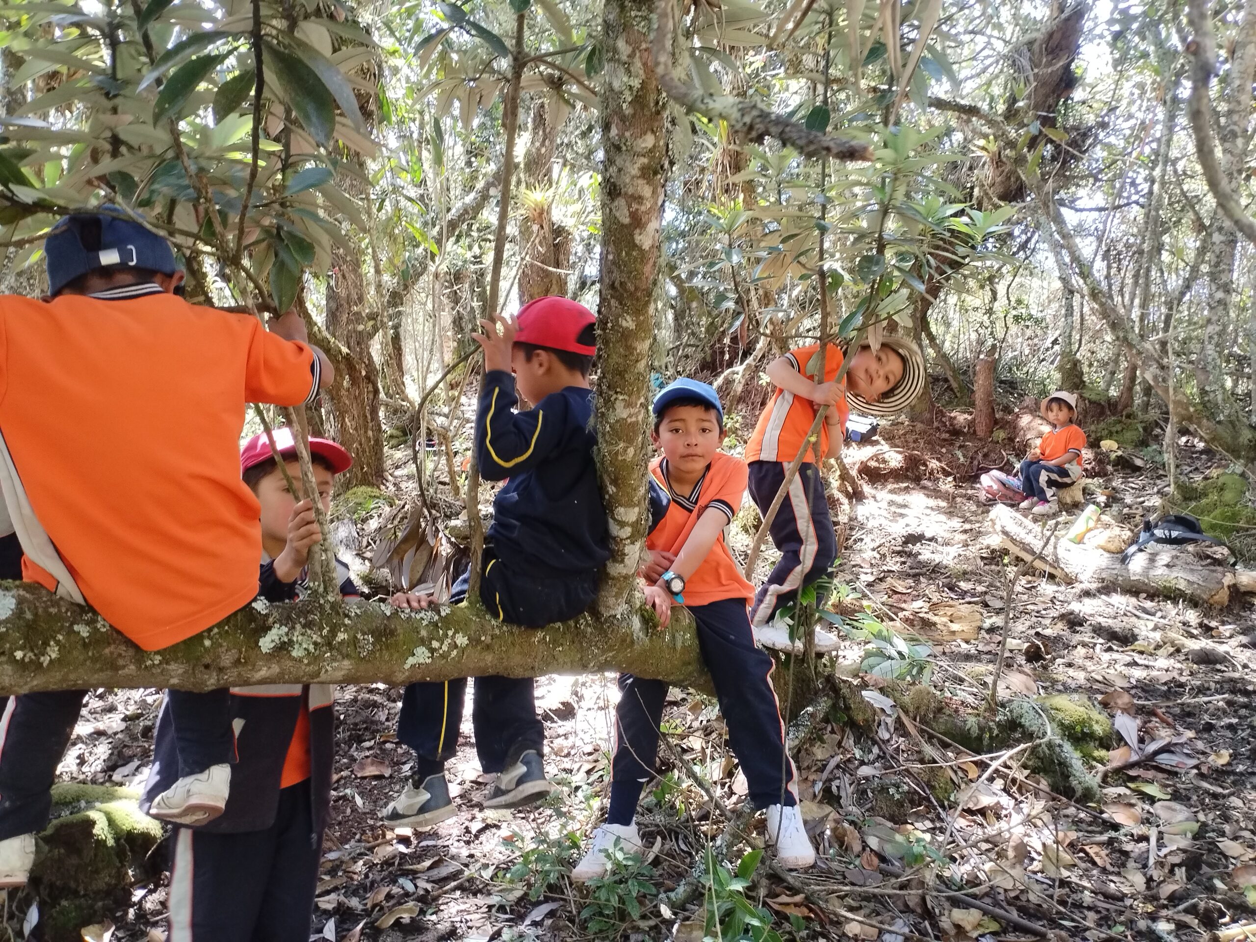 Proyecto volvamos la mirada a caminos vecinales