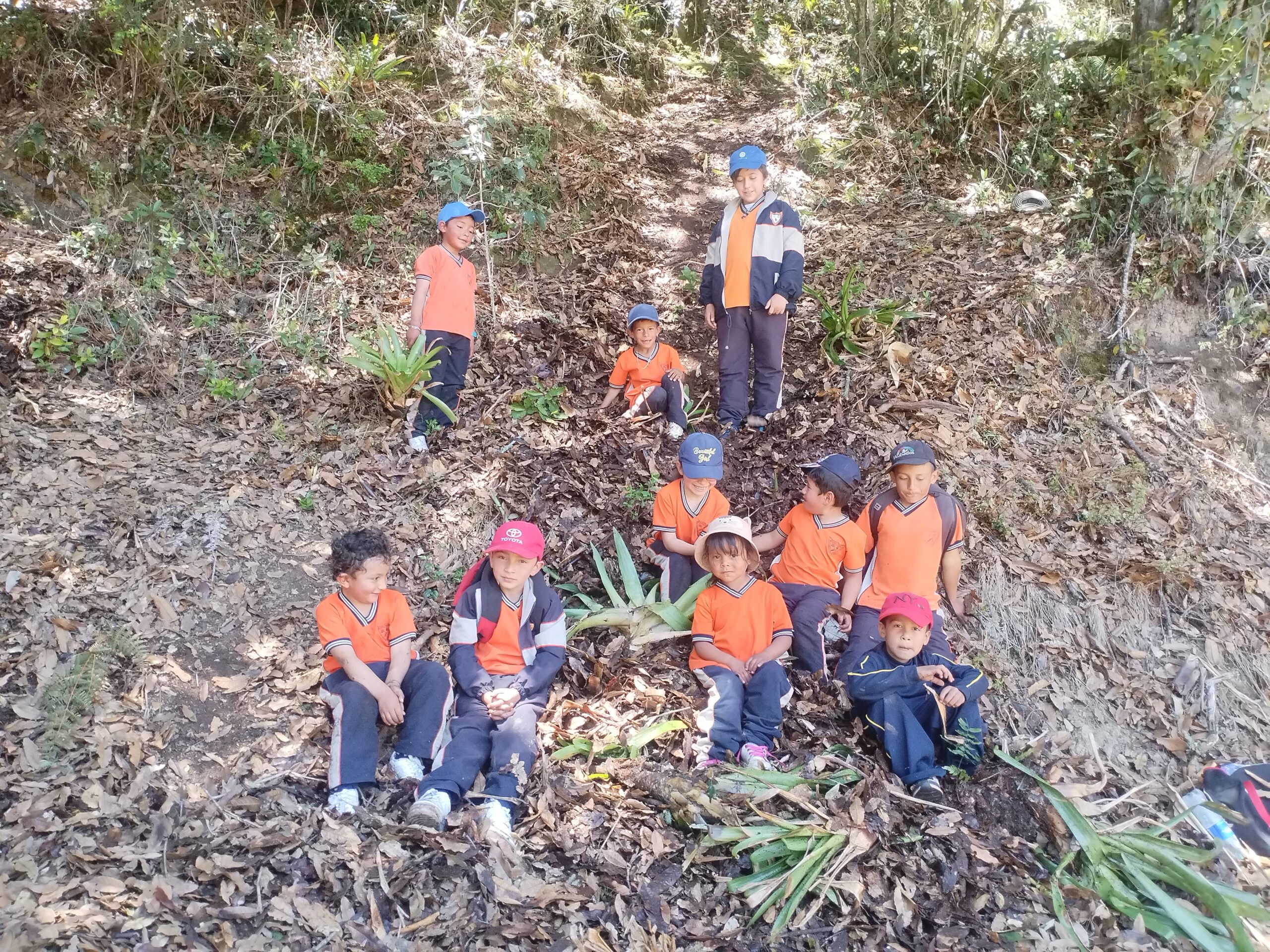 Prpyecto volvamos la mirada a la naturaleza